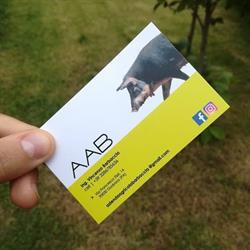 Azienda Agricola Barbaccia AAB
