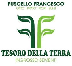 Tesoro Della Terra Srl