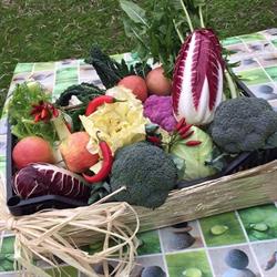 Azienda Agricola Celati