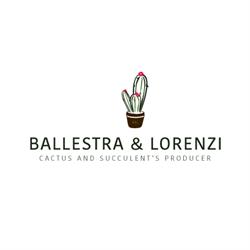 Cactee Balestra & Lorenzi