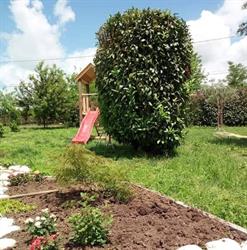 Azienda Agricola F.lli Romano
