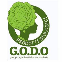 GODO Gruppo Organizzato