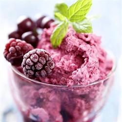 Gelateria Il Pinguino
