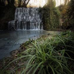 Azienda Agricola Il Molinaccio al Rio Chiaro