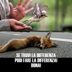 Sos Fauna
