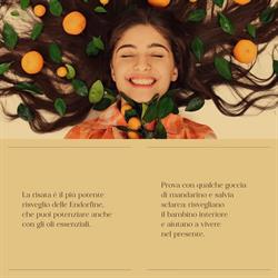 Imagine di Marina Meccani