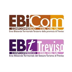 Ebicom