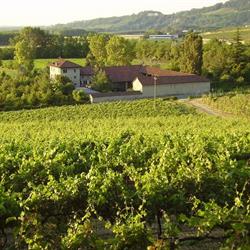 Azienda Agricola La Bozzola