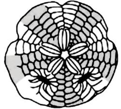 Gruppo Paleontologico Tropeano