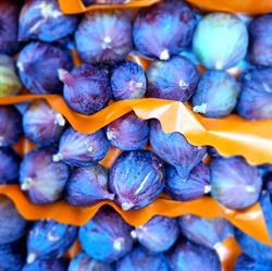 Ortofrutta Primizie Danilo