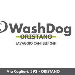 Wash Dog