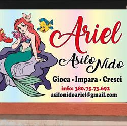Asilo Nido Ariel