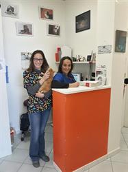 Ambulatorio Veterinario Associato Dott.sse Ferreri&Squassino