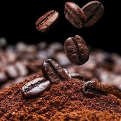 Aritzo Nobel 2.0 Bar Caffetteria