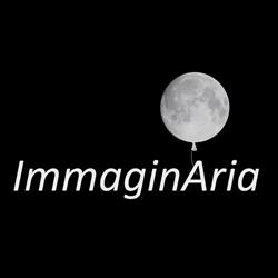 ImmaginAria srl