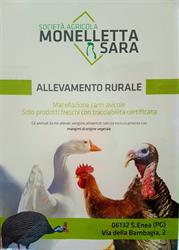 SOCIETA' AGRICOLA MONELLETTA SARA