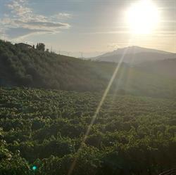 Poderi San Lazzaro