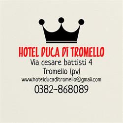 Hotel Duca di Tromello. 0382868089
