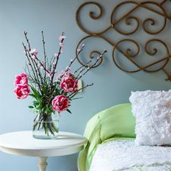 La Tosca Rooms