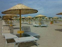 Bagno Tamerici Dog
