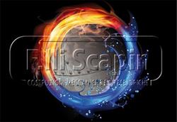 F.lli Scapin Srl