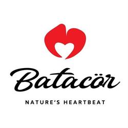 Batacör
