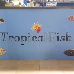 TropicalFish Livorno