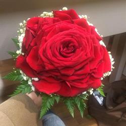 Floricoltura San Felice