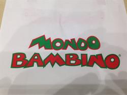 Mondo bambino