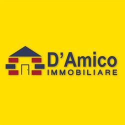 Fabrizio D'Amico - D'AMICO IMMOBILIARE