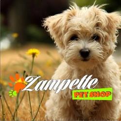 Zampette Pet Shop