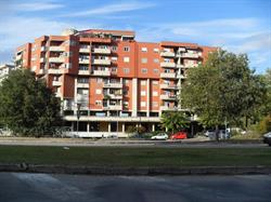 Autoscuola Jolly Srl
