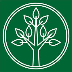 Greentorino