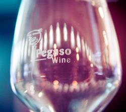 Pegaso Wine & Ristocafè