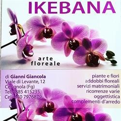 Ikebana di Giancola Giandonato