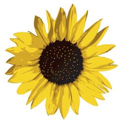 Il Girasole