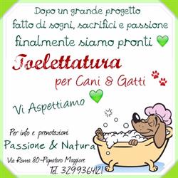 Passione e Natura Di Quintavalle Mario