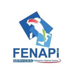 Fenapi Services