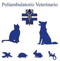 Ars Medica Veterinaria