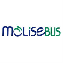 Molise Bus