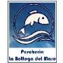 Gallery Professionale