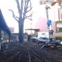 potatura alberi a torino