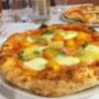 Gallery Professionale