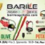 Gallery Professionale
