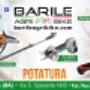 Gallery Professionale