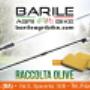 Gallery Professionale