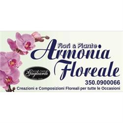 Fiori E Piante Armonia Floreale - Onoranze Funebri