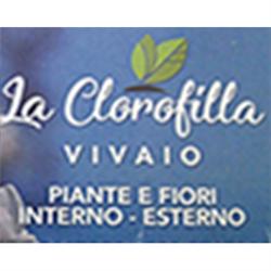 Vivai piante e fiori La Clorofilla
