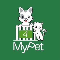 4 My Pet