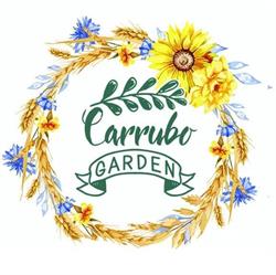 Il Carrubo